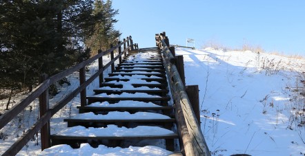 [삼양라운드힐] 2026년 대관령 스…